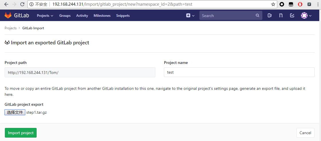 gitlab-rce-6