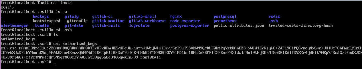 gitlab-rce-9
